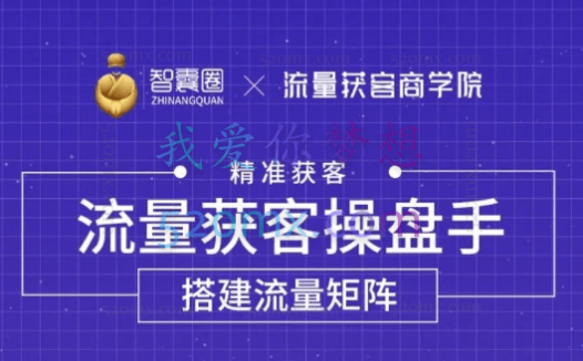 智囊圈·流量获客操盘手(系统大课)