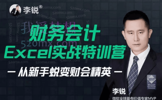 跟李锐学Excel:财务会计Excel实战特训营 | 从新手蜕变财会精英