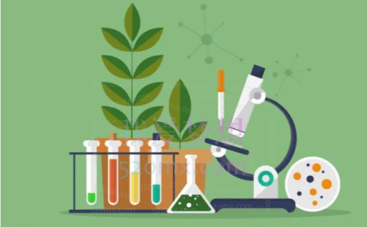 张雨桐初中生物初一生物暑假全国版