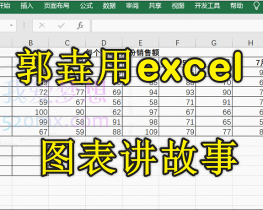 郭垚用excel图表讲故事