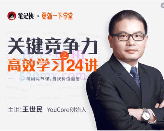 王世民关键竞争力之职场高效学习方法24讲，让自我价值翻倍