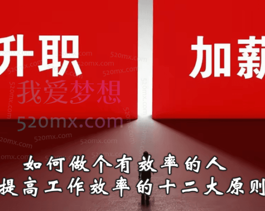 升职加薪攻略：如何做个有效率的人,提高工作效率的十二大原则