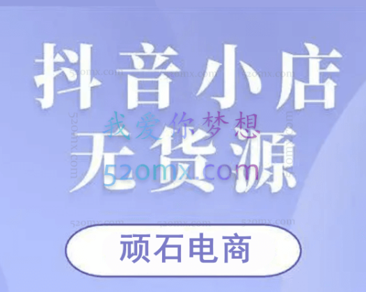 顽石电商:抖音小店无货源项目
