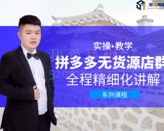 圣淘电商·拼多多无货源店群