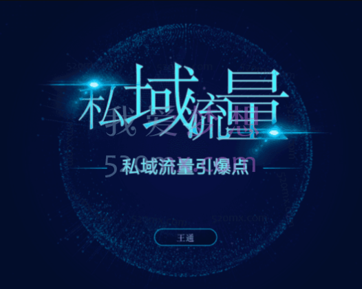 王通《私域流量引爆点》