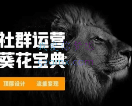 赚钱社群系统运营葵花宝典