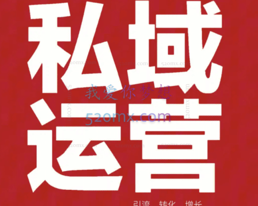 默默营销·精准引流+私域营销+逆袭赚钱（三件套）快速提升你的赚钱认知与营销思维