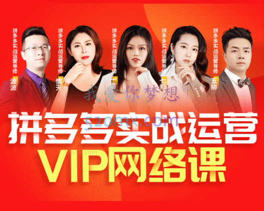 2023年6月推易拼多多VIP全套直播课程（新）