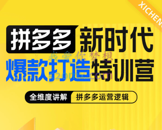 玺承拼多多新时代爆款打造特训营