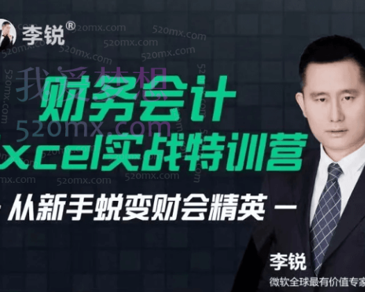 跟李锐学Excel：财务会计Excel实战特训营 | 从新手蜕变财会精英