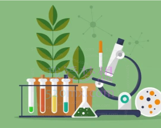 张雨桐初中生物初一生物暑假全国版