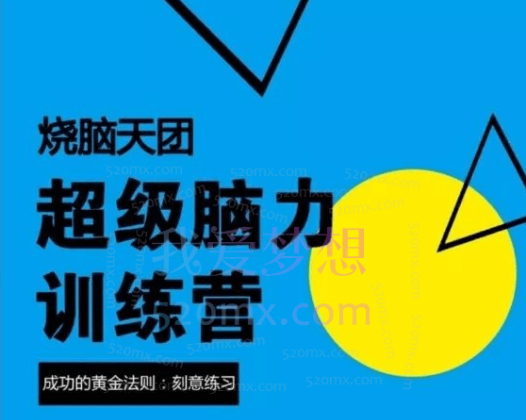 烧脑天团：超级脑力训练营，最强大脑进阶课