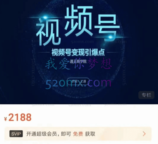 王通《视频号变现引爆点》