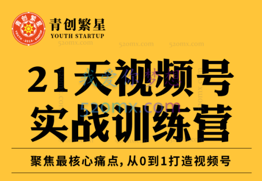 张萌萌:视频号实战训练营