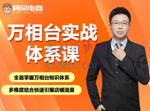 阿呆电商:万相台实战体系课