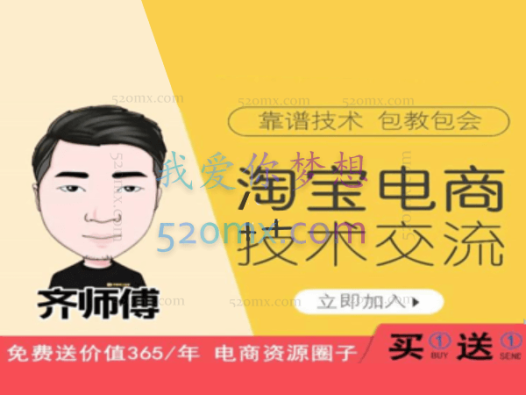 齐师傅淘宝电商技术VIP(1对1技术指导)