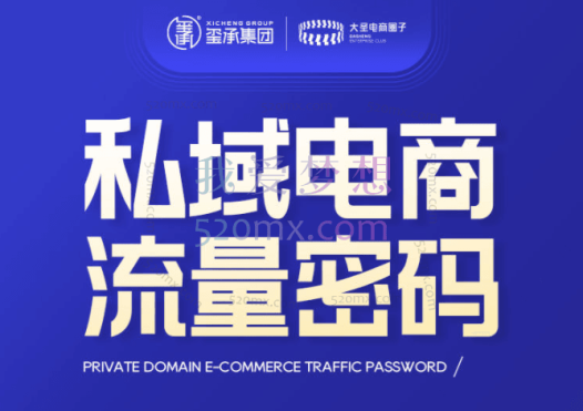 大圣电商私域电商流量密码