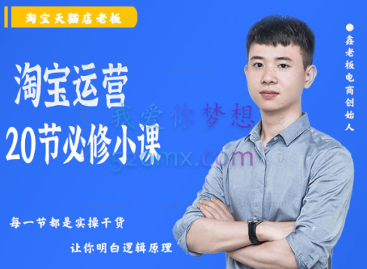 鑫老板谷金学堂淘宝运营·20节必修课