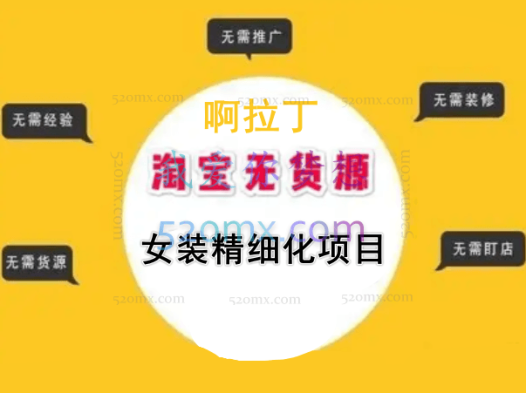 啊拉丁·淘宝女装无货源精细化项目