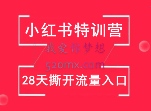 小红书特训营,28天撕开流量入口