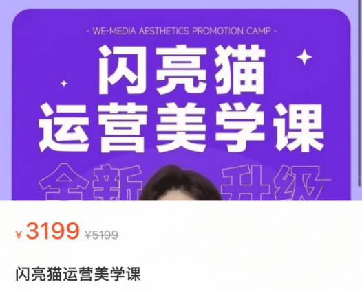 谢无敌:闪亮猫自媒体美学提升营