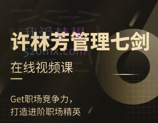 许林芳《管理七剑》视频课,系统提升管理能力