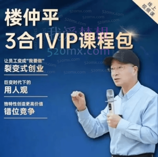 楼仲平《用人观》《错位竞争》《自主制创业》VIP课程三合一