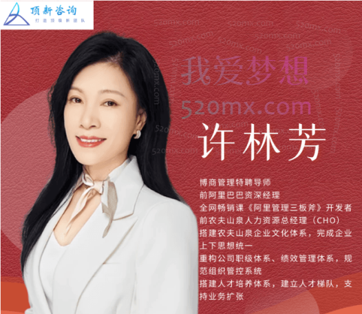 许林芳:企业高效组织管理