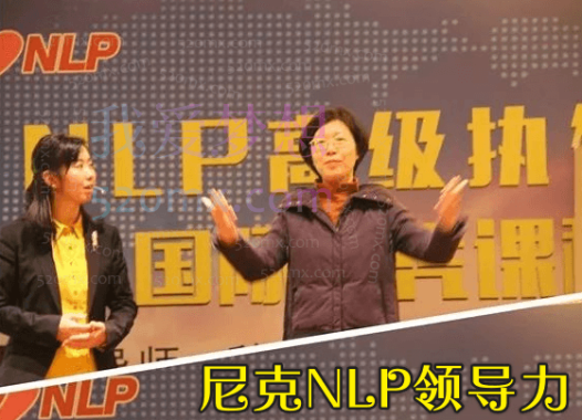 尼克NLP领导力高清视频