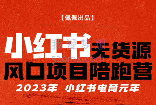 佩佩小红书:无货源风口项目陪跑营