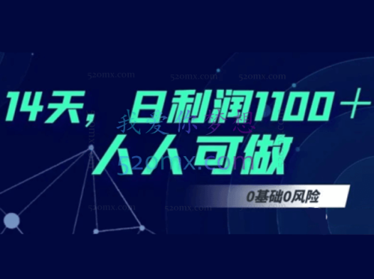 阿拉丁：14天时间做到日利润1100+