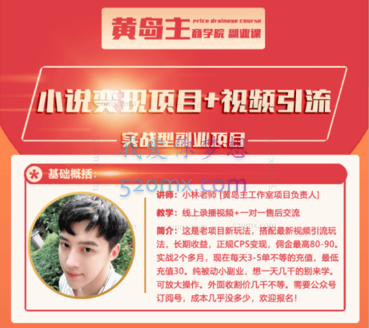 黄岛主：小说变现副业项目