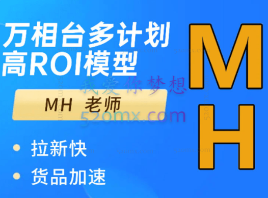 周心驰:MH-万相台多计划高ROI技术模型