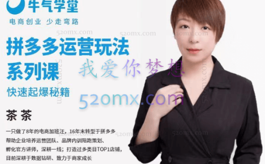 牛气学堂拼多多运营玩法系列课—-快速起爆秘籍