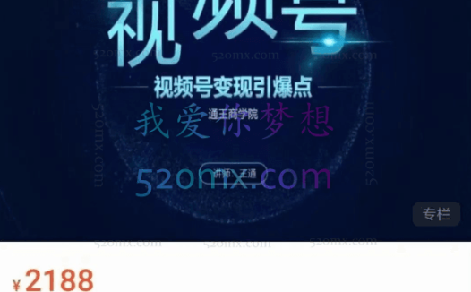 王通《视频号变现引爆点》