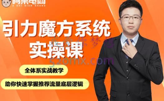 阿呆电商引力魔方系统实操课