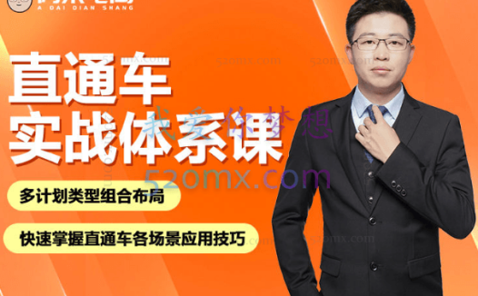 阿呆电商直通车实战体系课