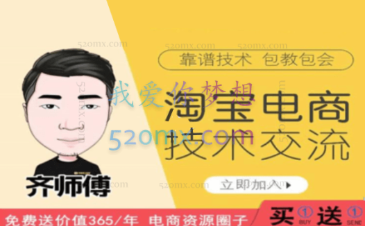 齐师傅淘宝电商技术VIP(1对1技术指导)