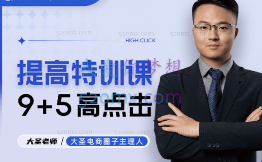大圣电商9+5高点击提升特训课