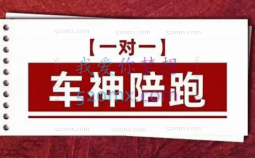 发宝电商纪主任车神陪跑【一对一】