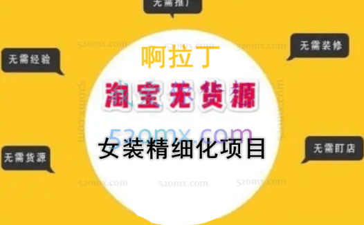 啊拉丁·淘宝女装无货源精细化项目