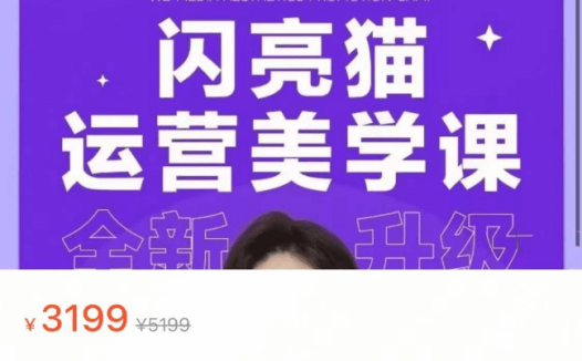 谢无敌：闪亮猫自媒体美学提升营