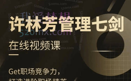许林芳《管理七剑》视频课,系统提升管理能力