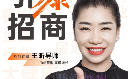 王昕:招商方案课程