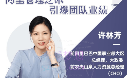 许林芳《阿里管理之术:引爆团队业绩》