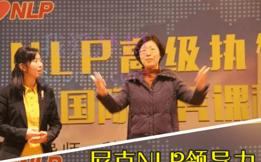 尼克NLP领导力高清视频