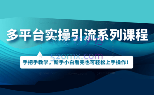 多平台引流实操系列课程