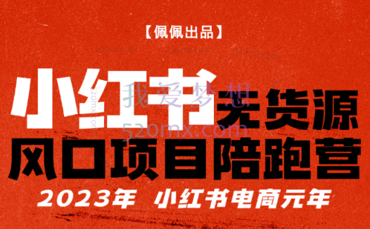 佩佩小红书:无货源风口项目陪跑营