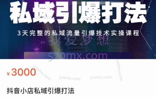 金圈圈:抖音小店私域引爆打法,3天完整的私域流量引爆技术实操课程