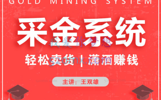 《采金系统2.0》(私域成交)王双雄